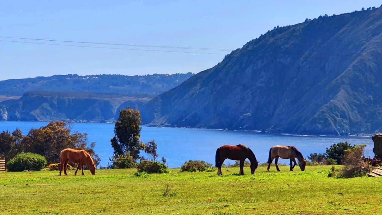 Cabana En Tunquen Con Parrilla, Fogon, Piscina Y Bosque Eksteriør billede