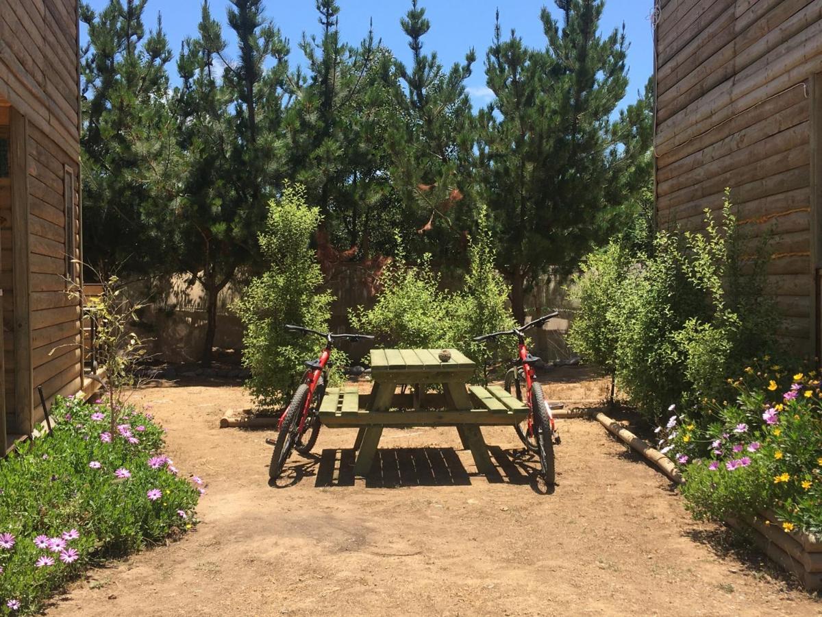 Cabana En Tunquen Con Parrilla, Fogon, Piscina Y Bosque Eksteriør billede