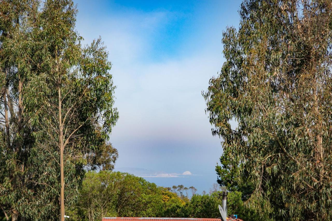 Cabana En Tunquen Con Parrilla, Fogon, Piscina Y Bosque Eksteriør billede