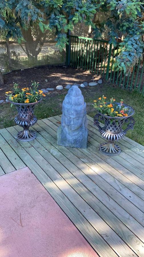 Cabana En Tunquen Con Parrilla, Fogon, Piscina Y Bosque Eksteriør billede